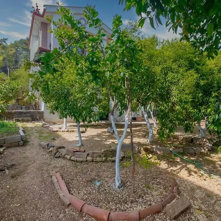 Marmaris Cetibeli Koyunde 4+1 Dogayla Ic Ice Otel Muğla